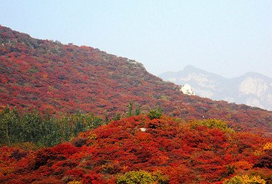 行走的力量  坡峰岭热力赏秋10月29日一日徒步（1日行程）