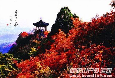 活动招募 11月8日 10日北京故宫 颐和园 香山 八达岭长城 明十三陵（3日行程）