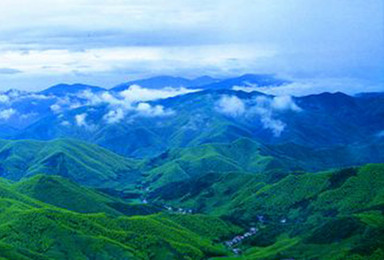 徒步登山 访千古圣地莫干山 赏竹海美景 听山泉潺流（1日行程）