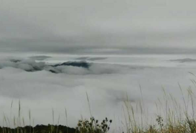 让我们相约惠东大南山 高山芦苇黄金草坡（1日行程）