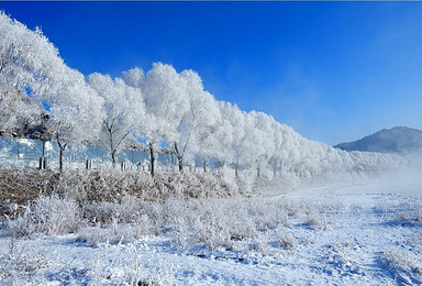 相约哈尔滨去看雪 前往爸爸去哪儿雪乡拍摄地（7日行程）