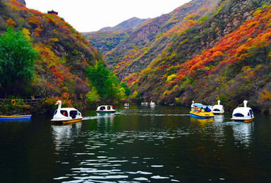 京西小九寨 双龙峡 十里溪流 百潭瀑布坐着小火车赏红叶（1日行程）