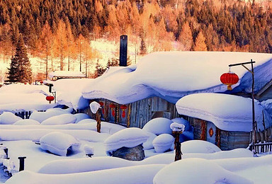 德德驴户外 11月25日-11月25日 哈尔滨-雪乡-长白山-雪谷-亚布力-雾凇岛-温泉 滑雪1日(1日行程) 德德驴户外 11月25日-11月25日 哈尔滨-雪乡-长白山-雪谷-亚布力-雾凇岛-温泉 滑雪1日(1日行程)