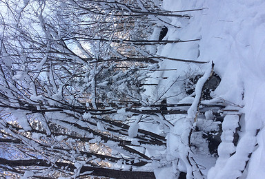 哈尔滨 雪谷 雪乡活动（4日行程）