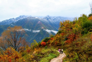 黑河峪赏红叶 俯瞰黑河水库优美美景（1日行程）