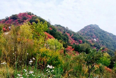 圭峰山 看满山红叶 游亚洲第一天生石桥（1日行程）