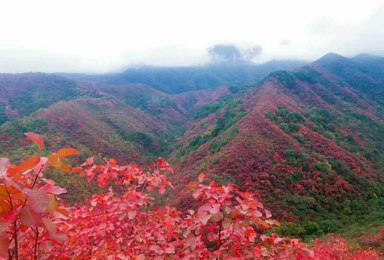 色彩斑斓韩城香山 红色通话世界 摄影行（1日行程）