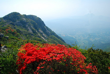 徒步高山草甸鸬鸟山 体会一览众山小（1日行程）