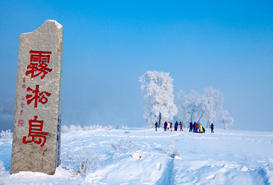 与信同行 吉林雾凇岛 中国雪乡 雪谷穿越 哈尔滨冰雪大世界 中央大街（4日行程）