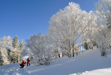 极致冰雪 雪谷穿越雪乡 吉林滑雪（7日行程）