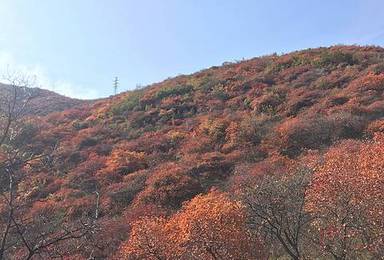 初冬悦行坡峰岭（1日行程）