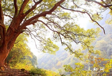 相约大明山 走高空栈道 赏峡谷秋色（2日行程）