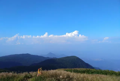 惠州四方山相约高山草甸拥抱绝美自然（1日行程）