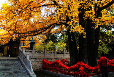 北方普陀红螺寺 爬红螺观红螺湖（1日行程）