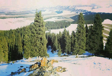 邀您狼牙山赏雪景吃火锅滑野雪亲子游（1日行程）