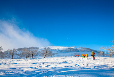 哈尔滨 亚布力滑雪 雪乡穿越 长白山 温泉 魔界 吉林雾凇岛（7日行程）