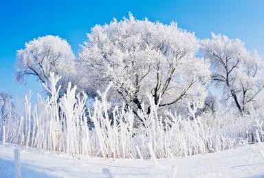 长白山 魔界 雾淞岛 雪乡 雪谷 穿越林海雪原 品东北美食（6日行程）