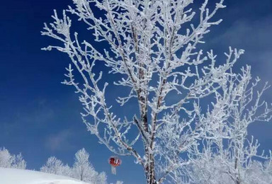 中国雪乡 羊草山看最美雪景活动（2日行程）