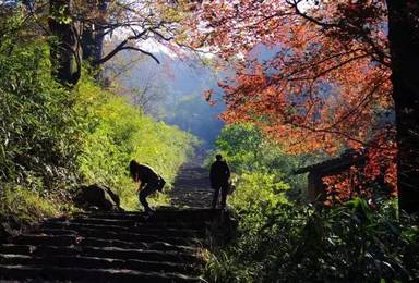 游走上青古道 重温昔日风貌（2日行程）