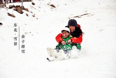 寒假亲子冬令营 东北哈尔滨冰雪大世界 雪乡户外徒步 学习滑雪（7日行程）