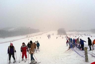 哈尔滨亚布力新体委滑雪场4小时门票 缆车 保险 滑雪具 景区接送（1日行程）