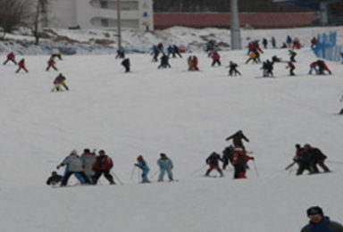 哈尔滨亚布力新体委滑雪场2小时门票 缆车 保险 滑雪具 景区接送（1日行程）