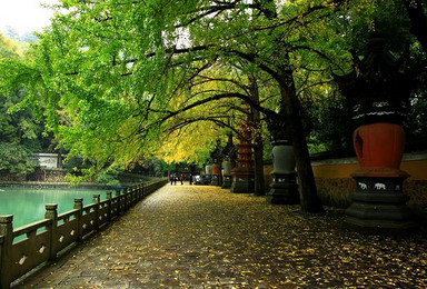 （上海）11月26日：走进天童森林公园，赏美丽天童秋景（1日行程）