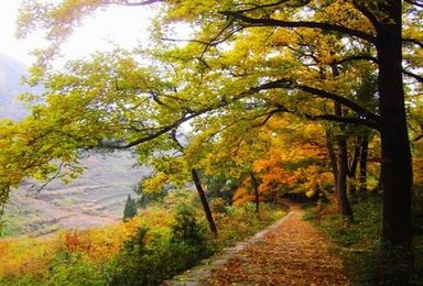 赏南黄之秋 闲逛国清寺（3日行程）