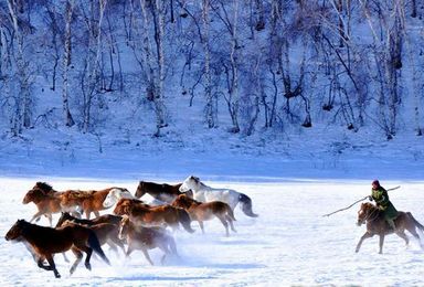 冬季乌兰布统草原深度摄影北国冰雪风光越野车穿越林海雪原雾凇最美雪景（3日行程）