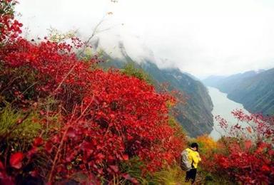巫山红叶行 徒步中国10大经典线路之一（3日行程）