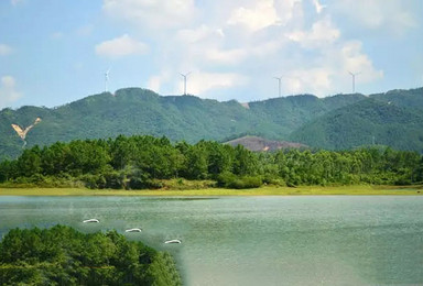 走进台山寻皇大草原赏风车瞰小千岛（1日行程）