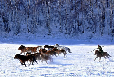 冬季乌兰布统草原深度摄影北国冰雪风光越野车穿越林海雪原（3日行程）