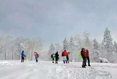 东北冰雪体育旅游7日经典游（142日行程）