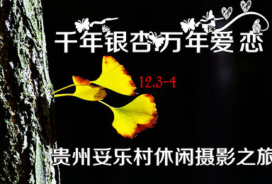 约:千年银杏树.万年爱恋伊-12月3-4日贵州妥乐村休闲摄影之旅（2日行程）
