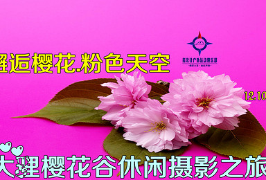 约:邂逅樱花.粉色天空-12.10-11大理樱花谷休闲自驾摄影之旅（2日行程）