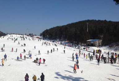 宁波商量岗滑雪门票 奉化溪口商量岗滑雪场 相量岗滑雪（1日行程）