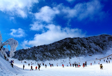 金佛山玩雪体验游（1日行程）