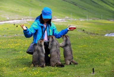 西部户外  秘境环线B线 世间纯净之地莫斯卡 梦幻仙境党龄葫芦海（6日行程）（6日行程）