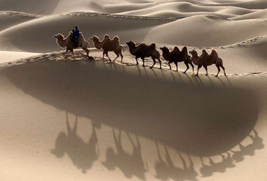 乌兰布和沙漠探秘驼盐古道徒步（4日行程）