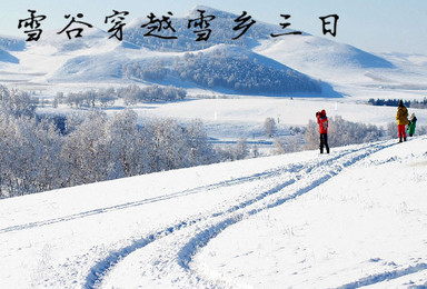 留白世界 冰城哈尔滨 中国雪谷徒步穿越雪乡（3日行程）