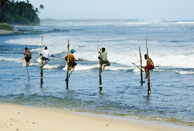 斯里兰卡印度洋的璀璨明珠 斯里兰卡南部冬季环线全年多期（9日行程）