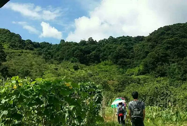 徒步影溪线穿竹林越小溪 溪头村里寻美食（1日行程）