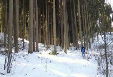 穿越冰雪世界 原始森林 雪战 鸡冠山（1日行程）