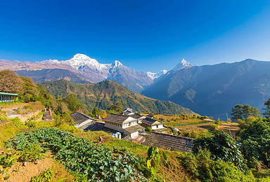 尼泊尔ABC徒步（11日行程）