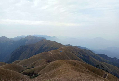 两丘田 铁蹄峰 金顶 望日山庄 绝望坡 发云界 龙山村（3日行程）