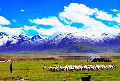 西藏山南 不走回头路 拉萨 林芝 山南 纳木错 多期（9日行程）