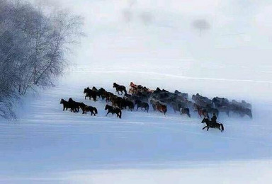 走进水墨画王国 乌兰布统草原皑皑白雪摄影自由行（2日行程）