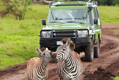 魅力肯尼亚 动物世界马赛马拉（8日行程）
