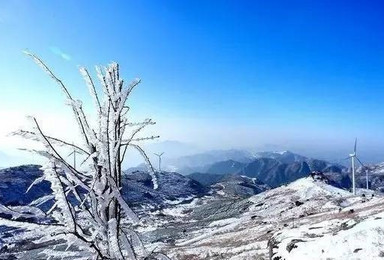 元旦武功山 十里草甸 随心而行（3日行程）