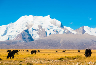 西藏珠峰东坡嘎玛沟徒步（13日行程）